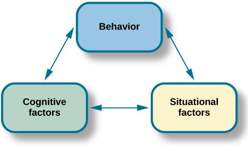 Cognitive Theory