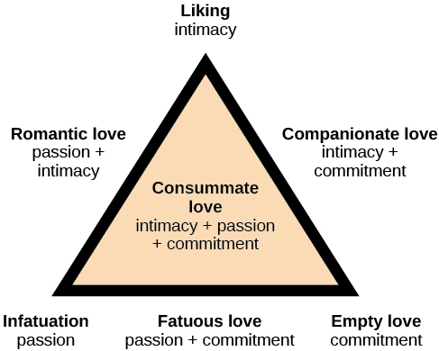 Sternberg’s Triangular Theory of Love. The following components of love are shown in different combinations: Intimacy, Commitment, and Passion. Each vertex of the triangle is labeled with one of the components of love, and the combination of those components is shown on the side of the triangles. There are seven types of love: Liking, Companionate Love, Empty Love, Fatuous love, Infatuation, Romantic love, and Consummate love. Liking is intimacy only. Companionate love is intimacy and commitment. Empty love is commitment only. Fatuous love is passion and commitment. Infatuation is passion only. Romantic love is passion and intimacy. The interior of the triangle is labeled, “Consummate love” which includes all three qualities: intimacy, passion, and commitment. 