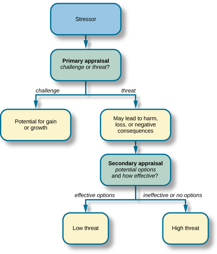 Eine Concept Map beginnt mit einem Kasten mit der Überschrift